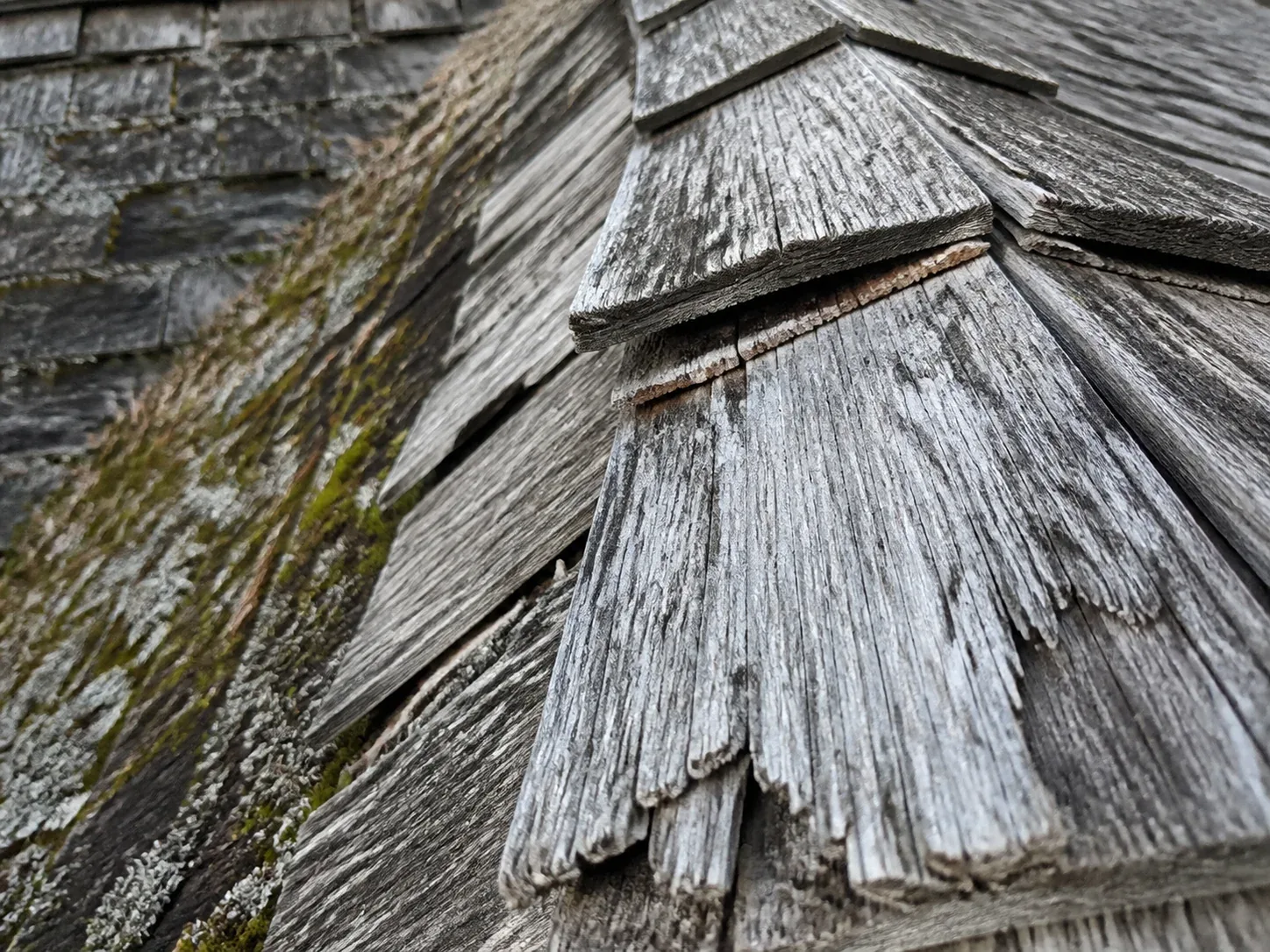 A close macro view of curled and split wood shakes at a roof ridge cap with visible moss growth in the shaded valley