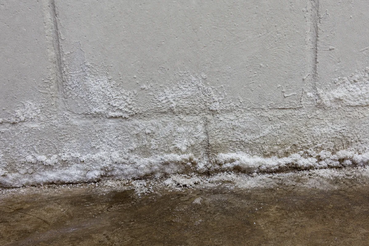 Close-up of white crystalline efflorescence and a damp mineral crust along the base of a painted concrete-block wall, with paint bubbling and flaking just above