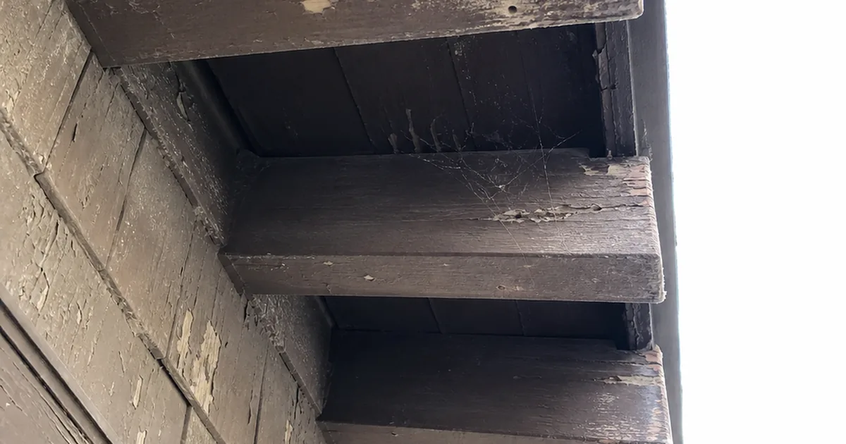 Exposed Craftsman rafter tail with drywood termite pellets and a small kickout hole in the weathered wood