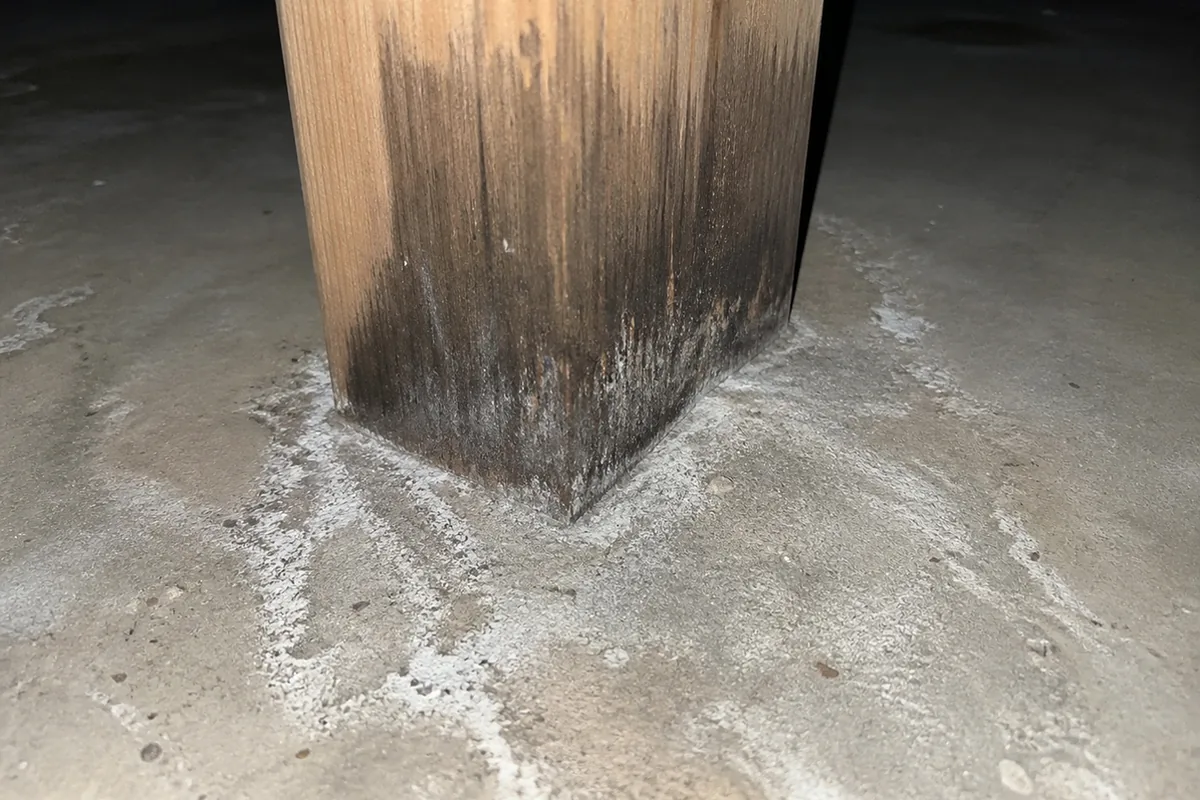 A wood post base sitting flat on a concrete garage slab with no metal standoff, dark water staining wicked several inches up the wood and white efflorescence blooming on the concrete around it